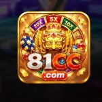 81cc